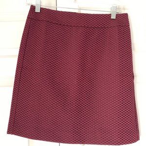 Ann Taylor Loft Skirt